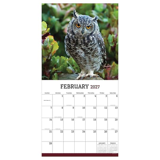 2027 Owls Wall Calendar